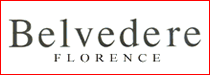 belvedere florence icon